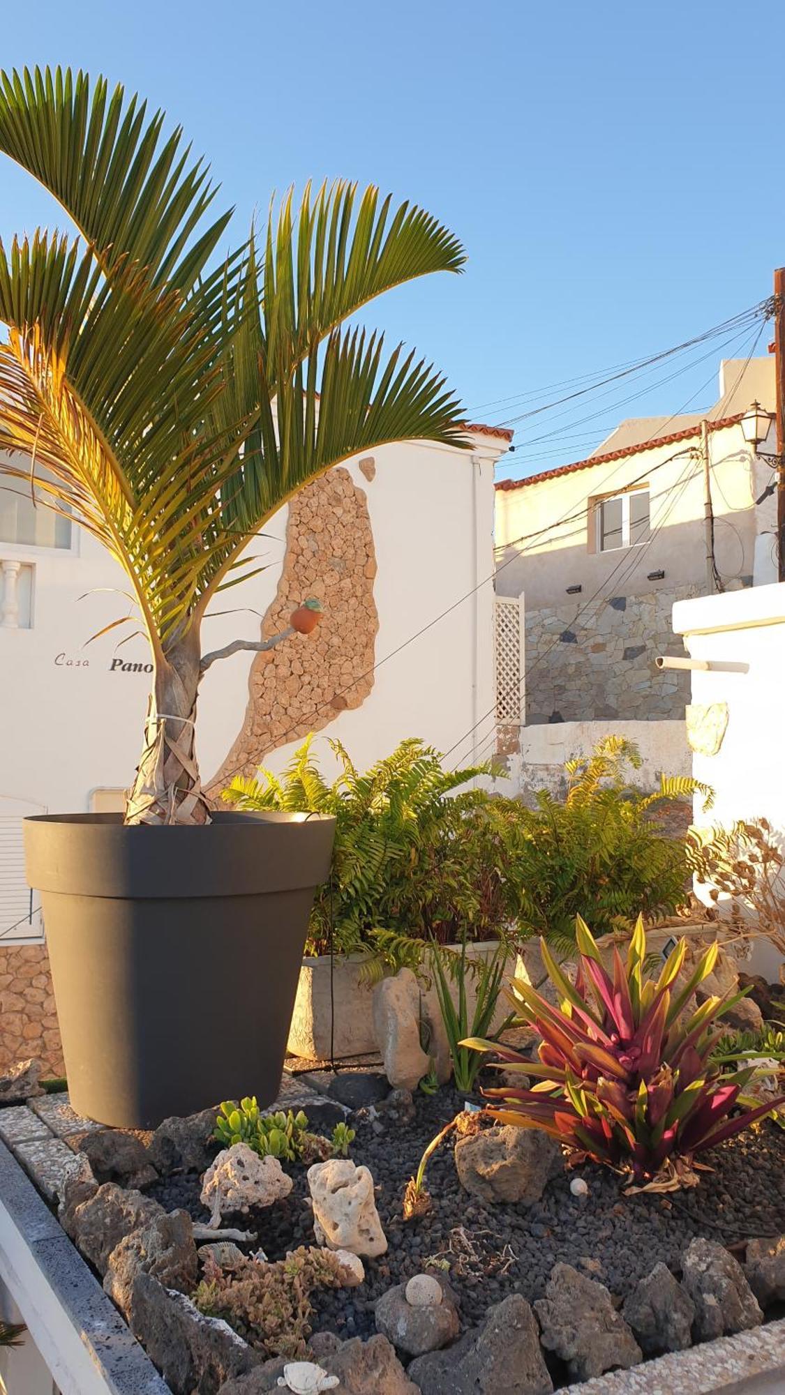 El Atico Bonito Appartement Las Playas Buitenkant foto